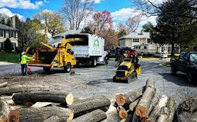 Best Seasonal Cleanup (Spring/Fall)  in Horseshoe Bay, TX